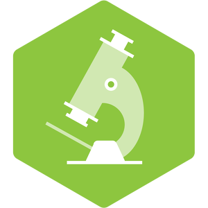 Supported a Patient's Labwork